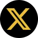 X icon